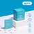 Peppermint / 6 pack (54 pc)